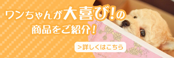ワンちゃんが大喜び！の商品をご紹介